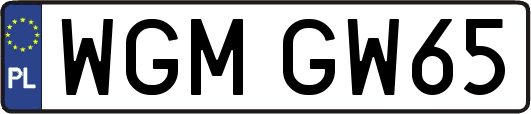 WGMGW65