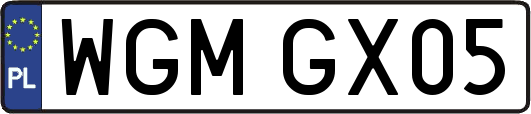WGMGX05