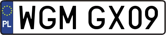 WGMGX09