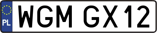 WGMGX12