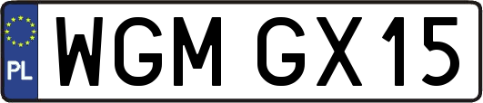 WGMGX15