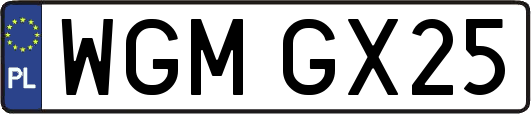 WGMGX25