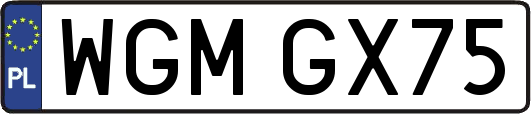 WGMGX75