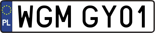 WGMGY01