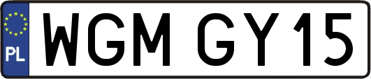 WGMGY15