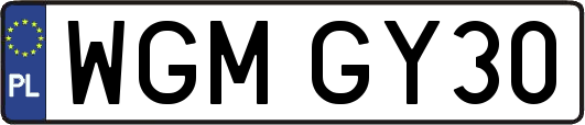 WGMGY30