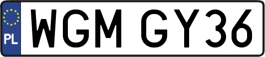 WGMGY36