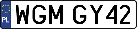 WGMGY42