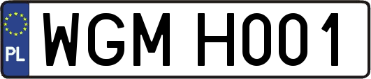 WGMH001