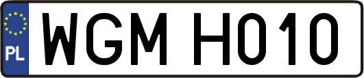 WGMH010