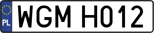 WGMH012