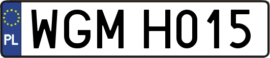 WGMH015