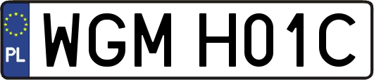 WGMH01C