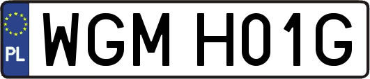 WGMH01G