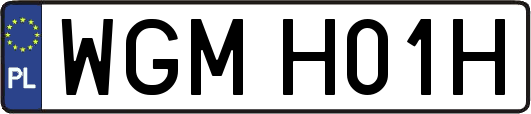 WGMH01H