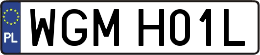 WGMH01L