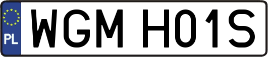 WGMH01S