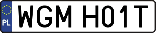 WGMH01T