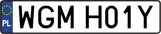 WGMH01Y