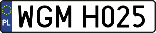 WGMH025