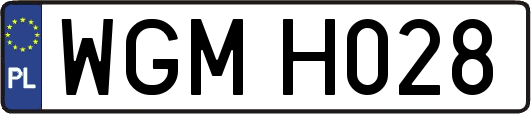 WGMH028
