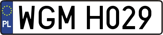 WGMH029