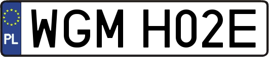 WGMH02E
