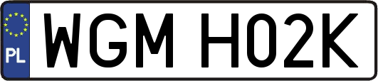 WGMH02K