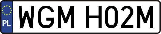WGMH02M