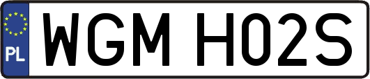 WGMH02S