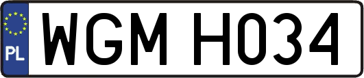 WGMH034