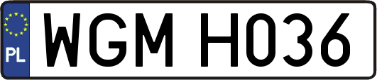 WGMH036