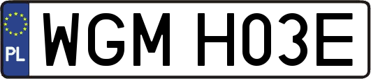 WGMH03E