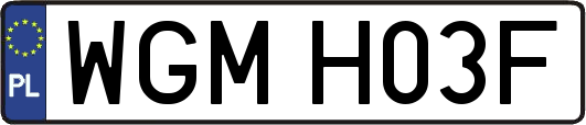 WGMH03F
