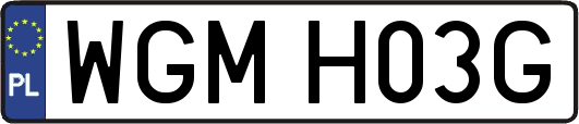 WGMH03G