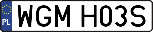 WGMH03S