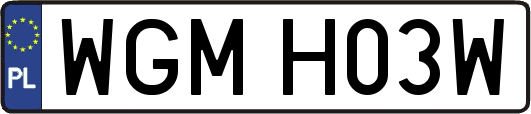 WGMH03W