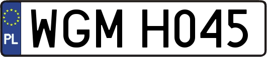 WGMH045