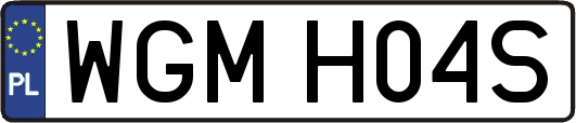 WGMH04S