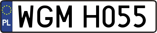 WGMH055