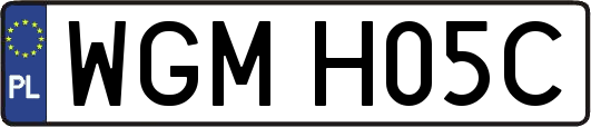 WGMH05C