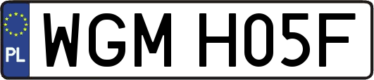WGMH05F