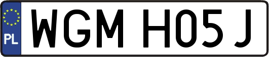 WGMH05J