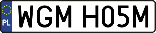 WGMH05M