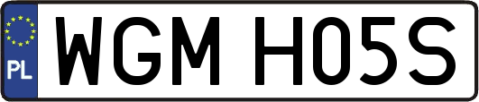 WGMH05S