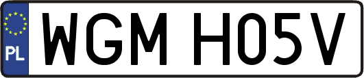 WGMH05V