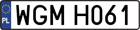 WGMH061