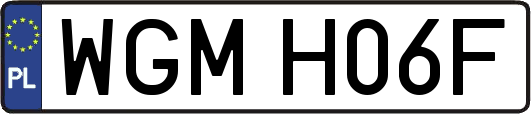 WGMH06F