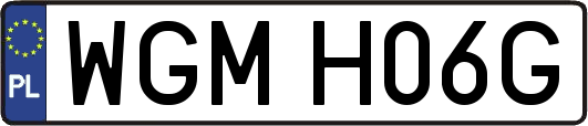 WGMH06G
