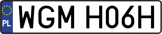 WGMH06H